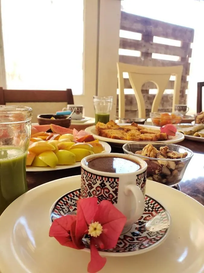 Homestay Espaco Eros Hospedagem E Terapias Holisticas Florianopolis